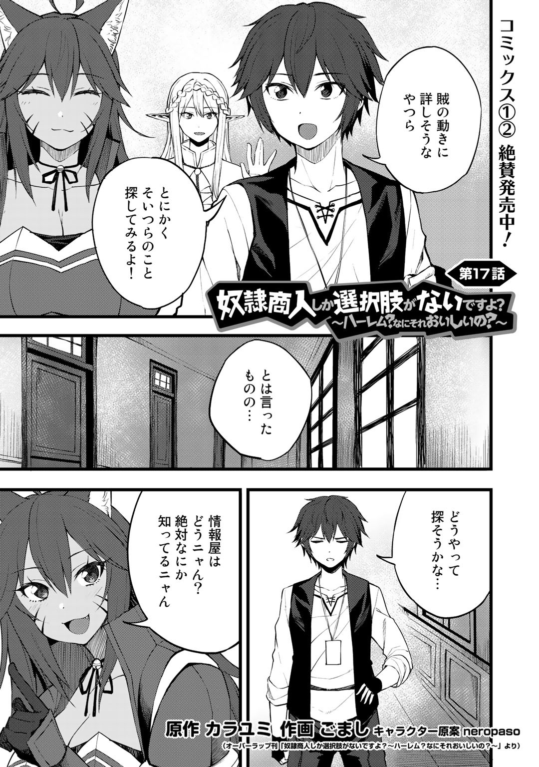 奴隷商人しか選択肢がないですよ?～ハーレム?なにそれおいしいの?～ 第17話 - Page 1