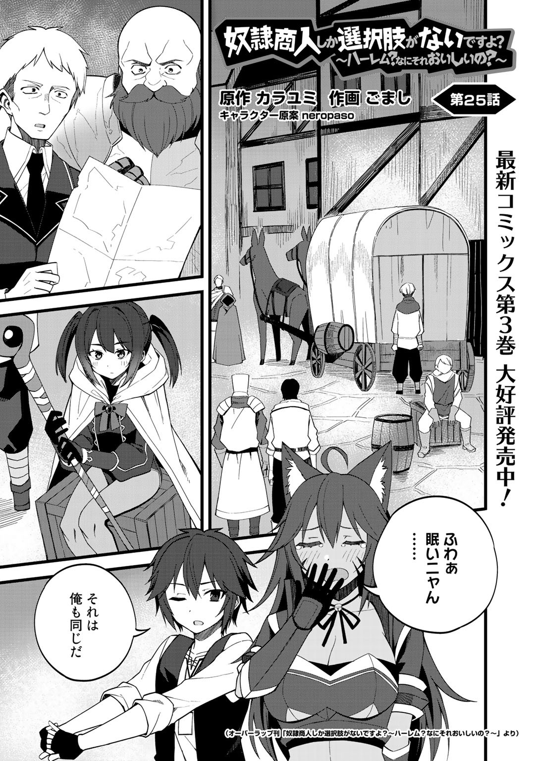 奴隷商人しか選択肢がないですよ?～ハーレム?なにそれおいしいの?～ 第25話 - Page 1