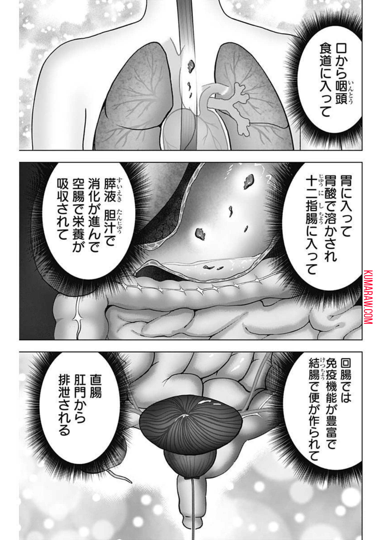 ドクターエッグス 第21話 - Page 5