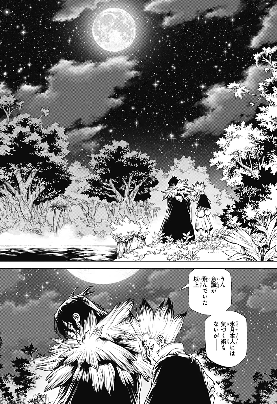 ドクターストーン 第197話 - Page 14