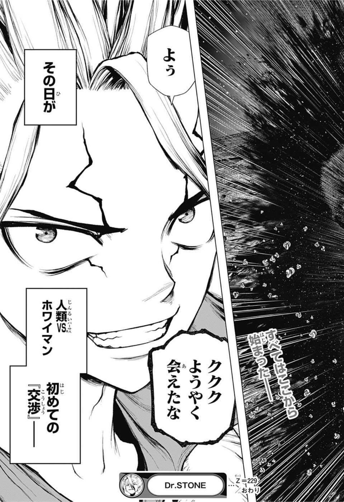 ドクターストーン 第229話 - Page 19