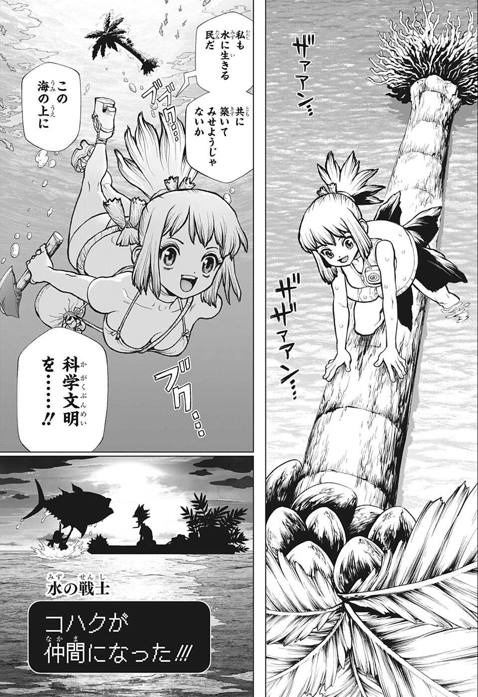 ドクターストーン 第232.5話 - Page 23