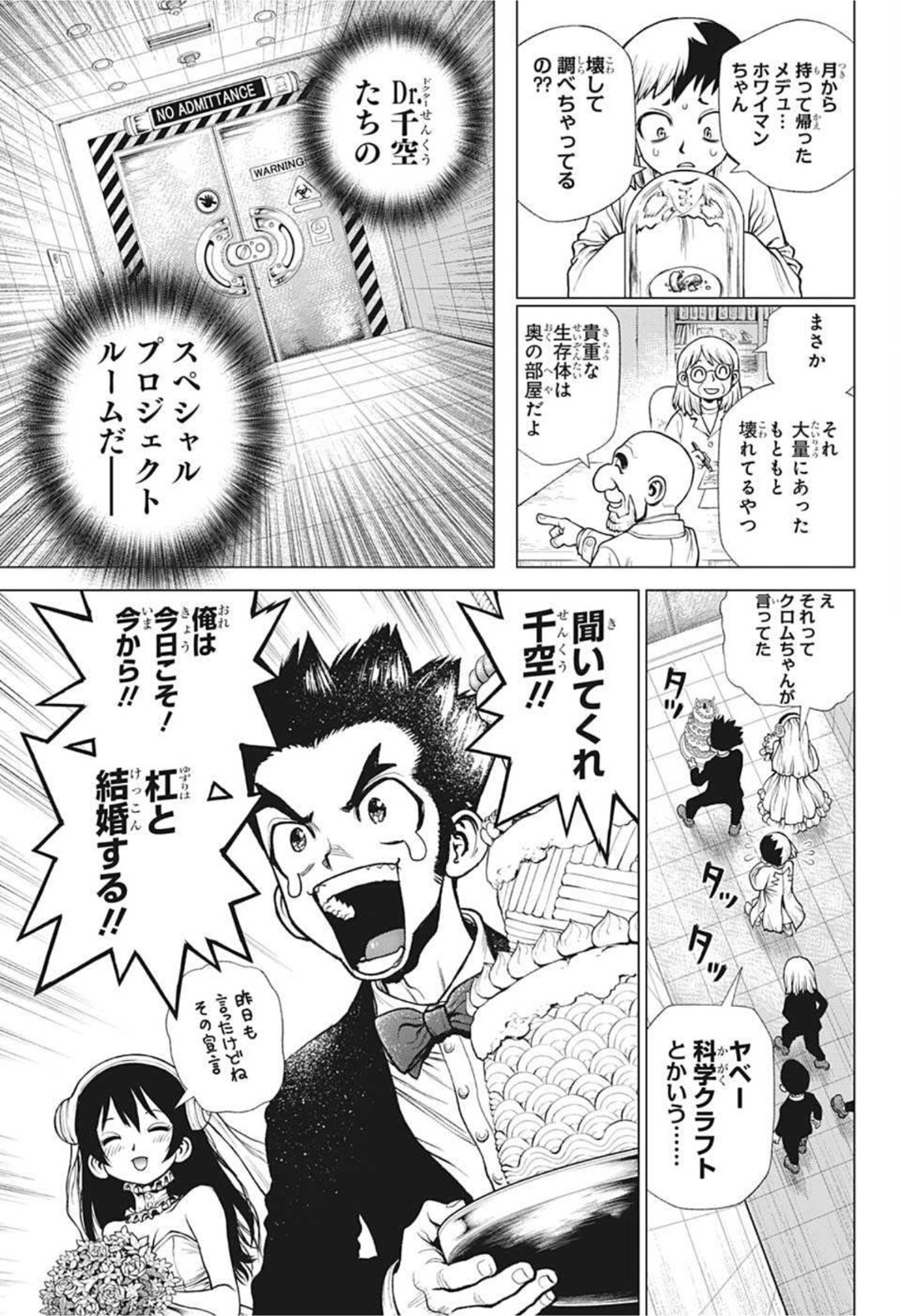 ドクターストーン 第232話 - Page 16