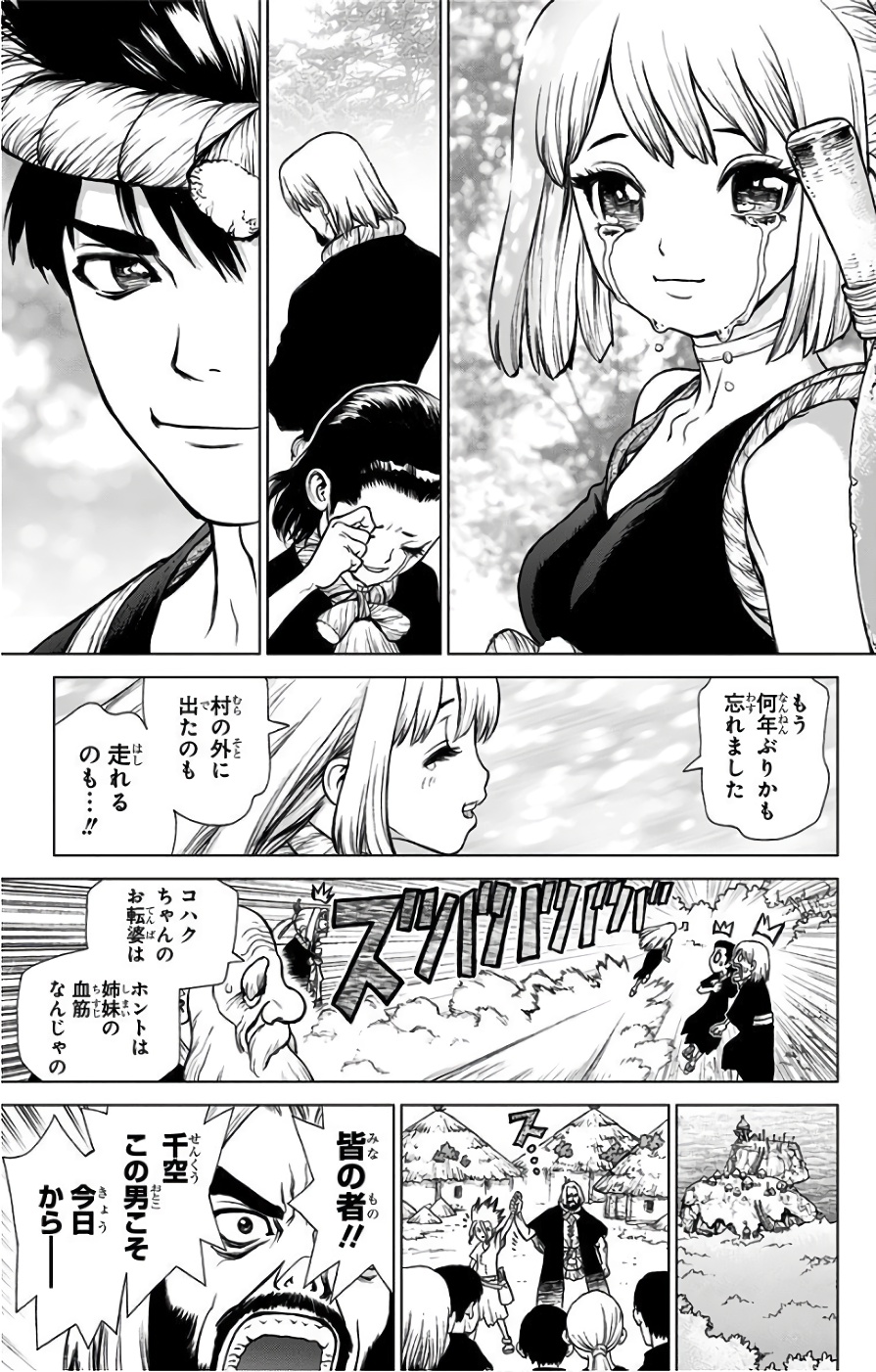 ドクターストーン 第41話 - Page 17