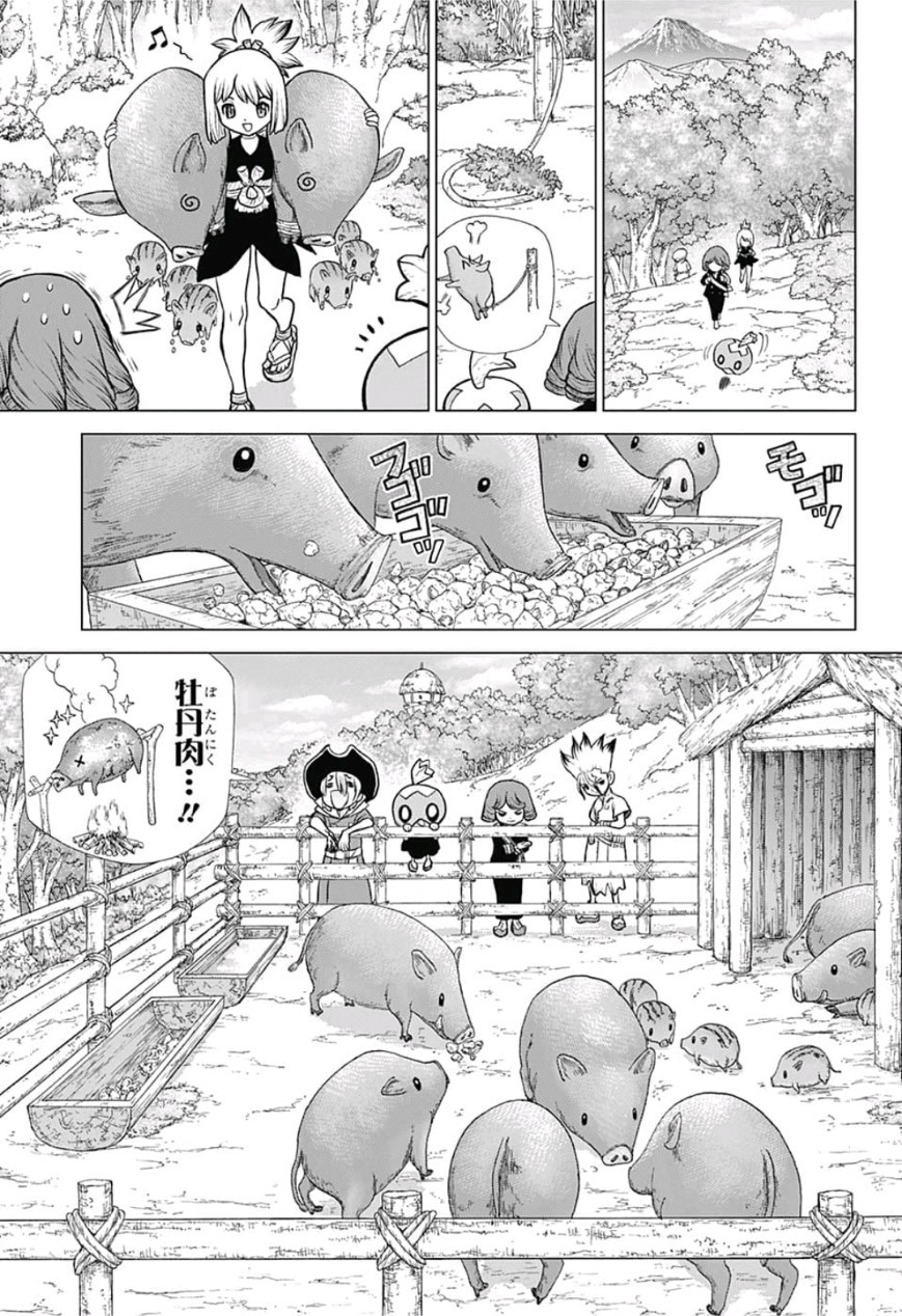 ドクターストーン 第94話 - Page 9