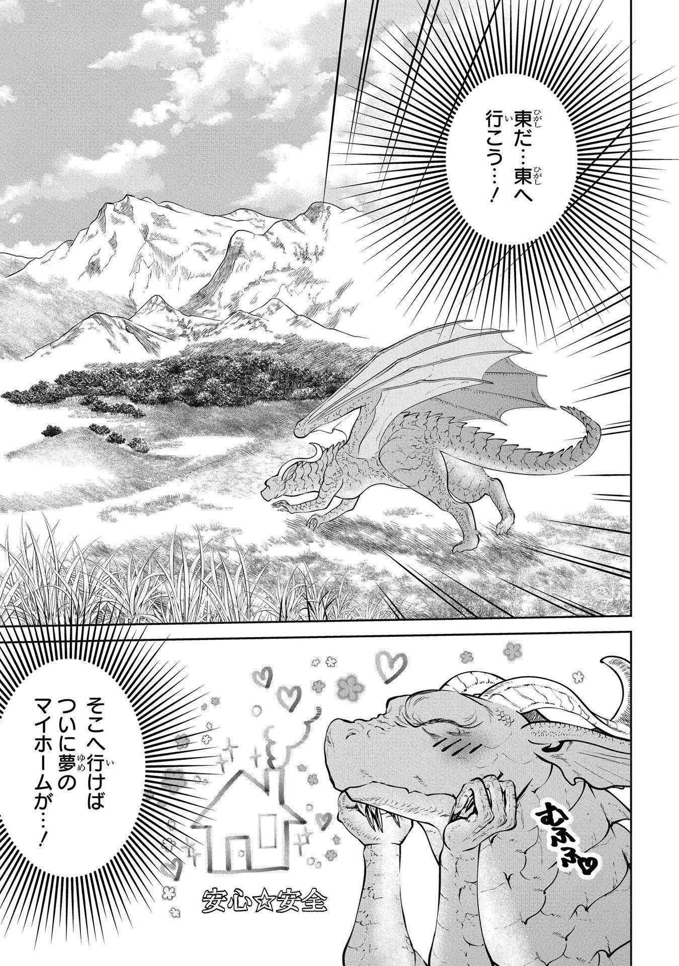 ドラゴン、家を買う。 第1話 - Page 29