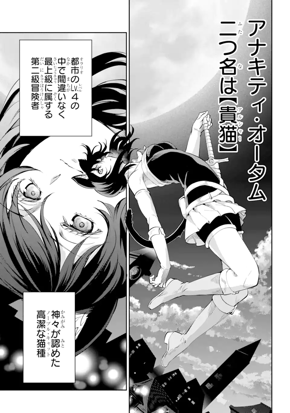 ダンジョンに出会いを求めるのは間違っているだろうか外伝ソード・オラトリア 第88.1話 - Page 13