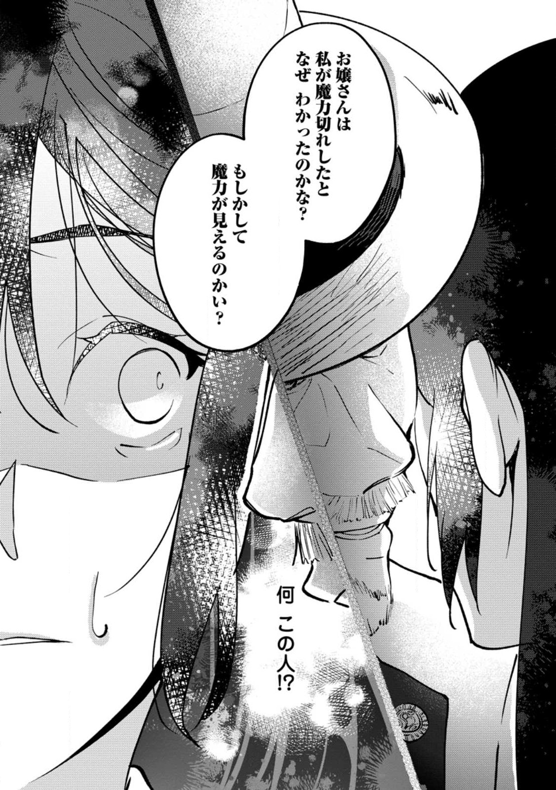 ええ、召喚されて困っている聖女（仮）とは私のことです 第3.3話 - Page 8