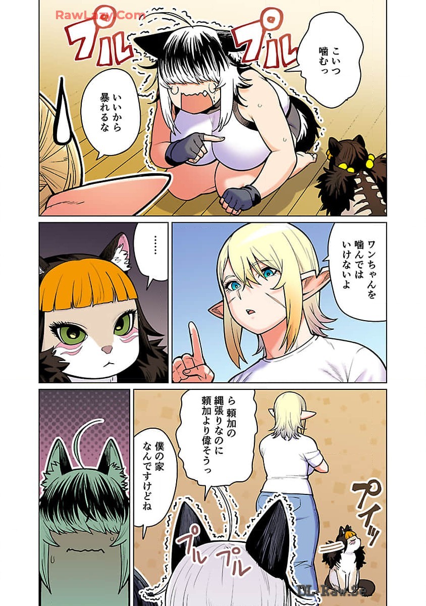 エルフさんは痩せられない。 第49話 - Page 5