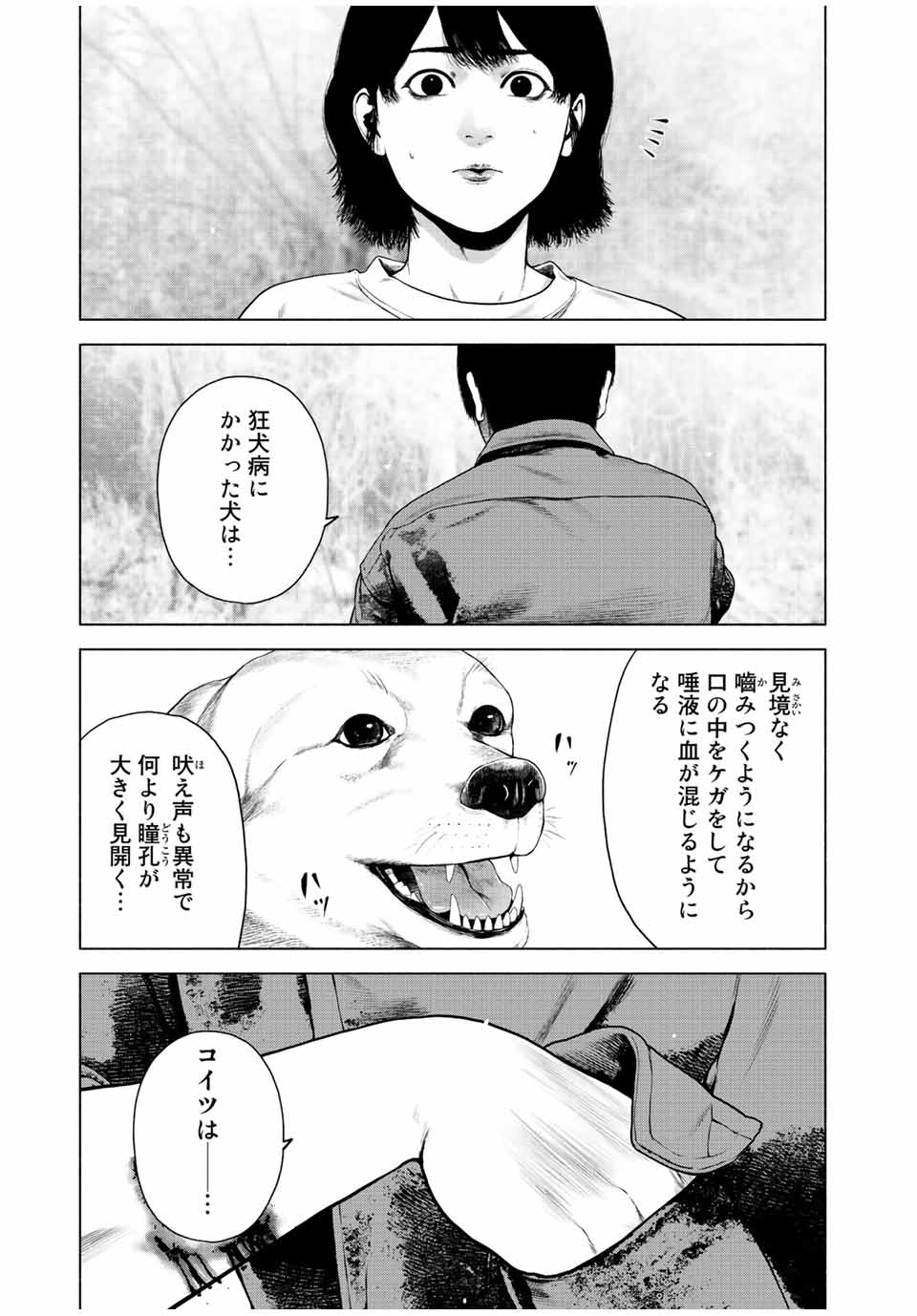 降り積もれ孤独な死よ 第37話 - Page 17