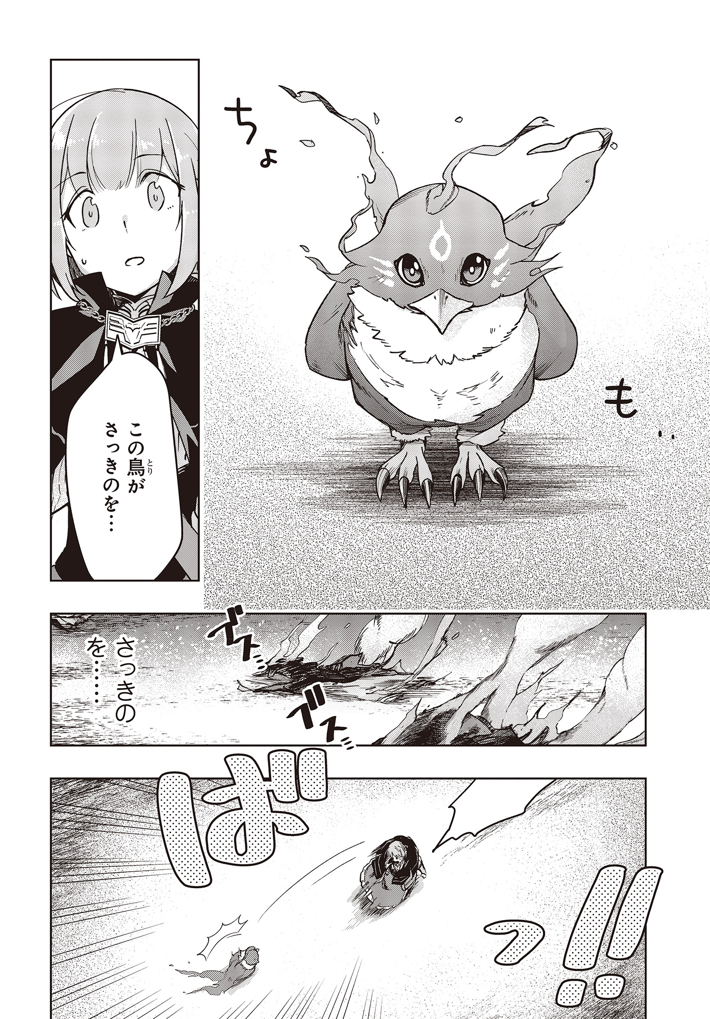 不死鳥への転生ドラゴン倒せるって普通の鳥じゃないよね？ 第1話 - Page 12