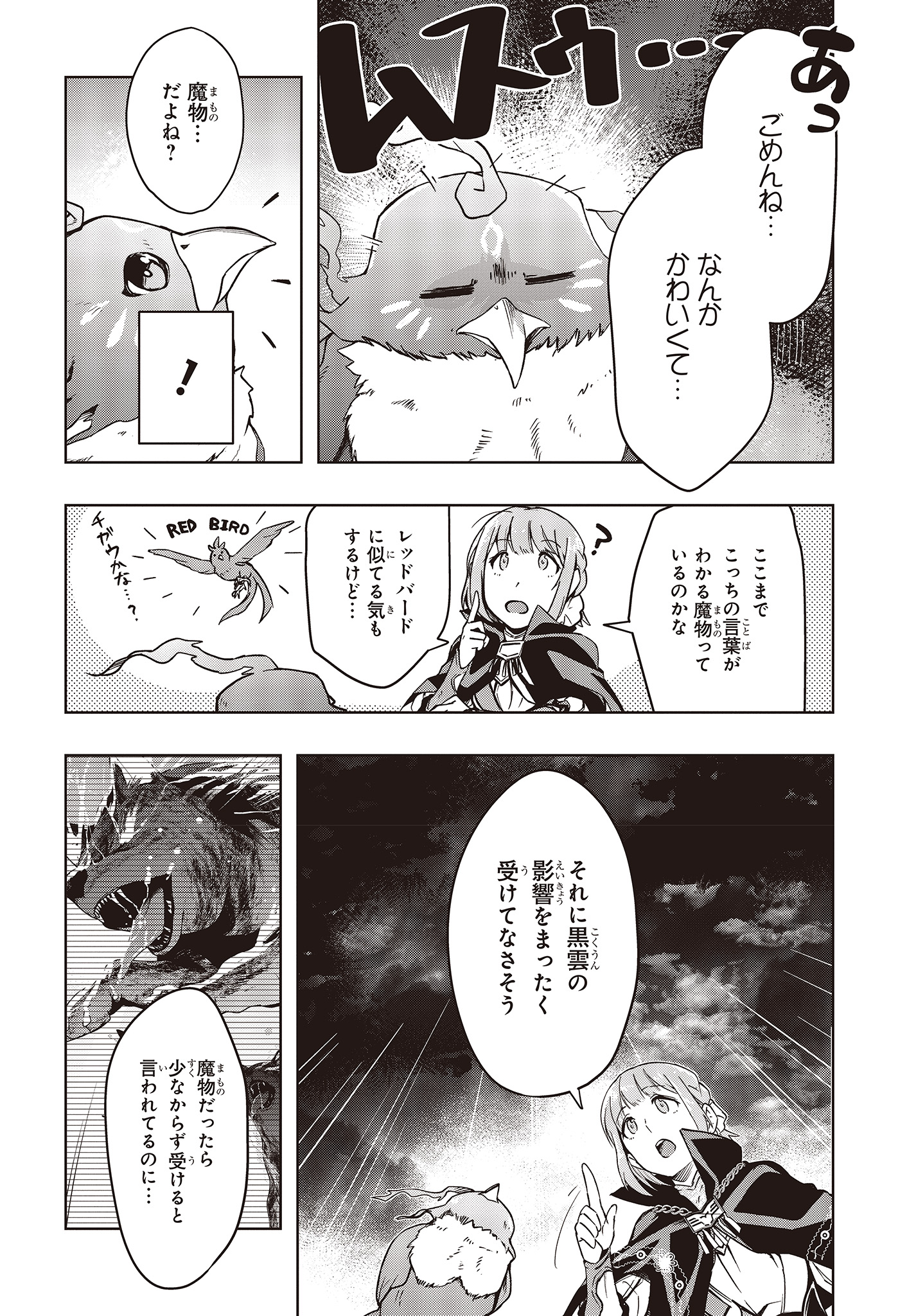 不死鳥への転生ドラゴン倒せるって普通の鳥じゃないよね？ 第1話 - Page 16