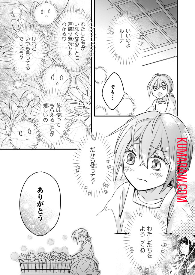 骸骨王と身代わりの王女ルーナと臆病な王様 第1話 - Page 21