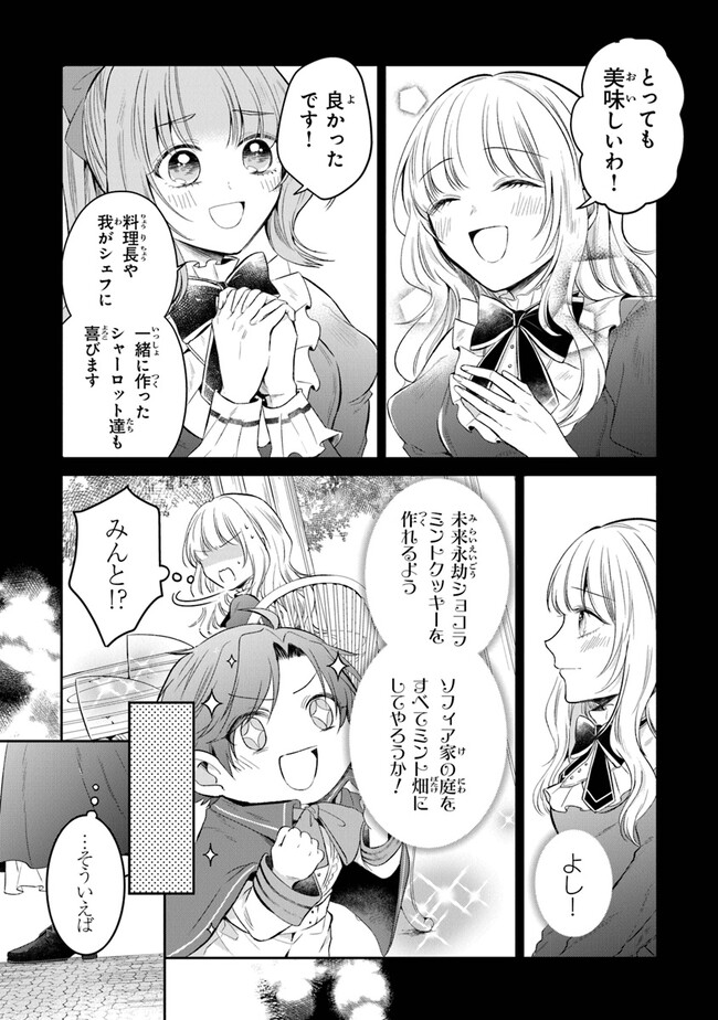 義妹が聖女だからと婚約破棄されましたが、私は妖精の愛し子です 第12話 - Page 5