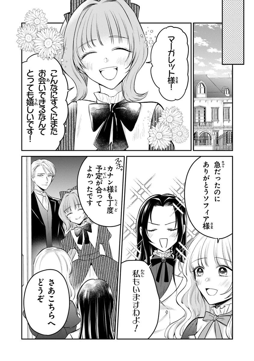 義妹が聖女だからと婚約破棄されましたが、私は妖精の愛し子です 第22話 - Page 8