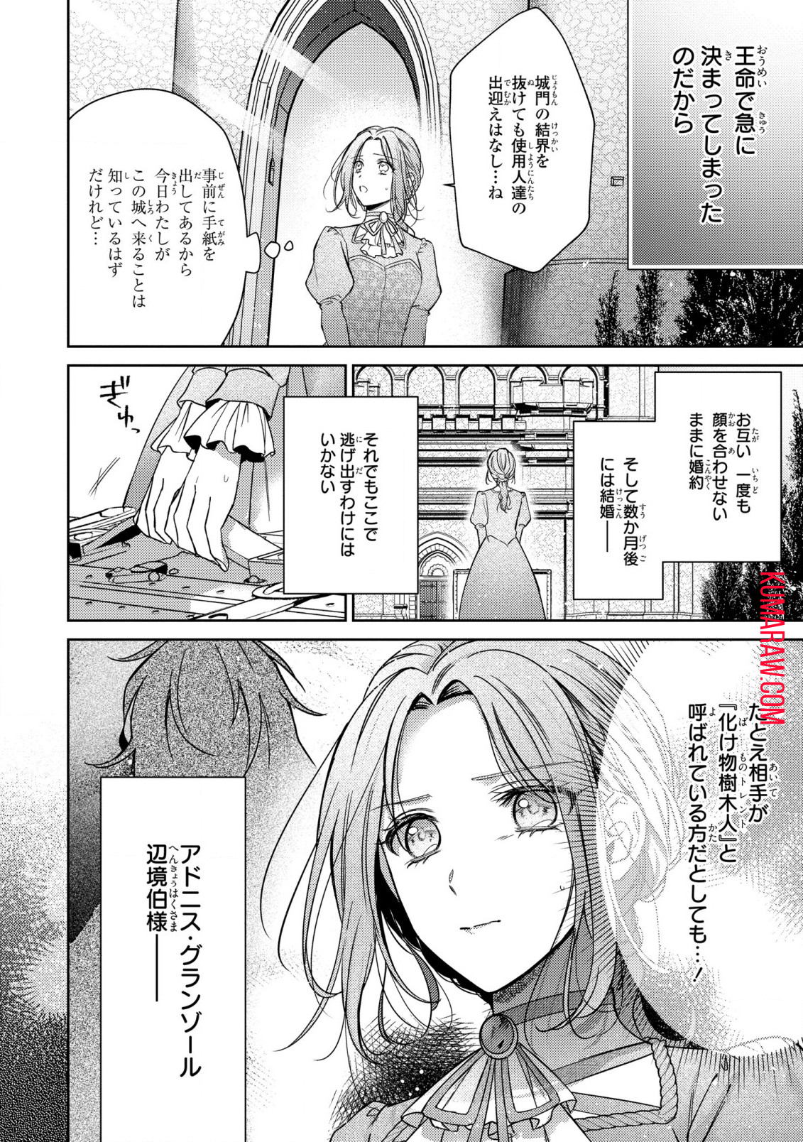 嵌められましたが、幸せになりました　傷物令嬢と陽だまりの魔導師 第1話 - Page 11