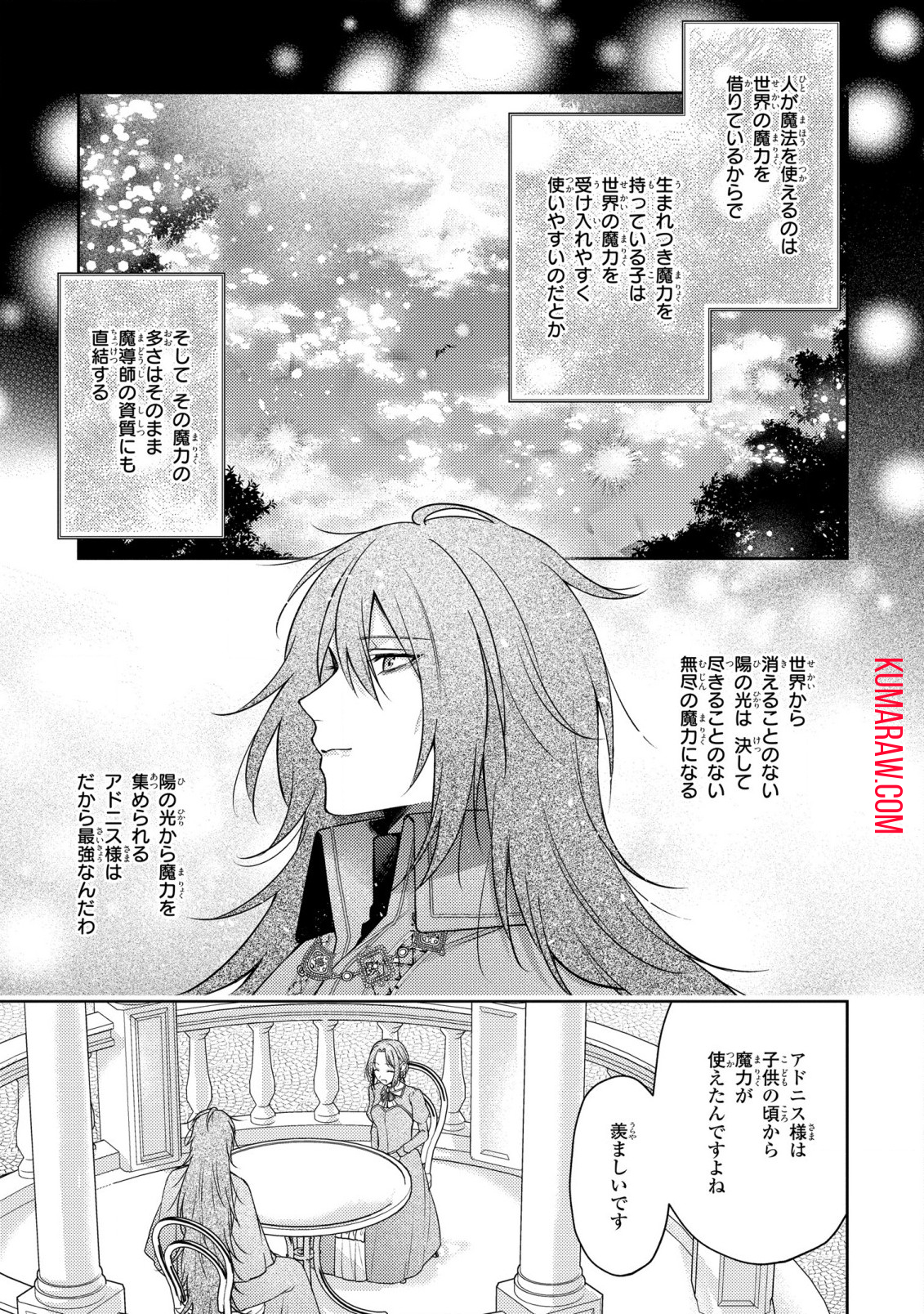 嵌められましたが、幸せになりました　傷物令嬢と陽だまりの魔導師 第4.1話 - Page 11