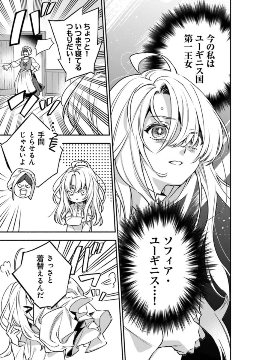 ハズレ姫は意外と愛されている? 第1.1話 - Page 14