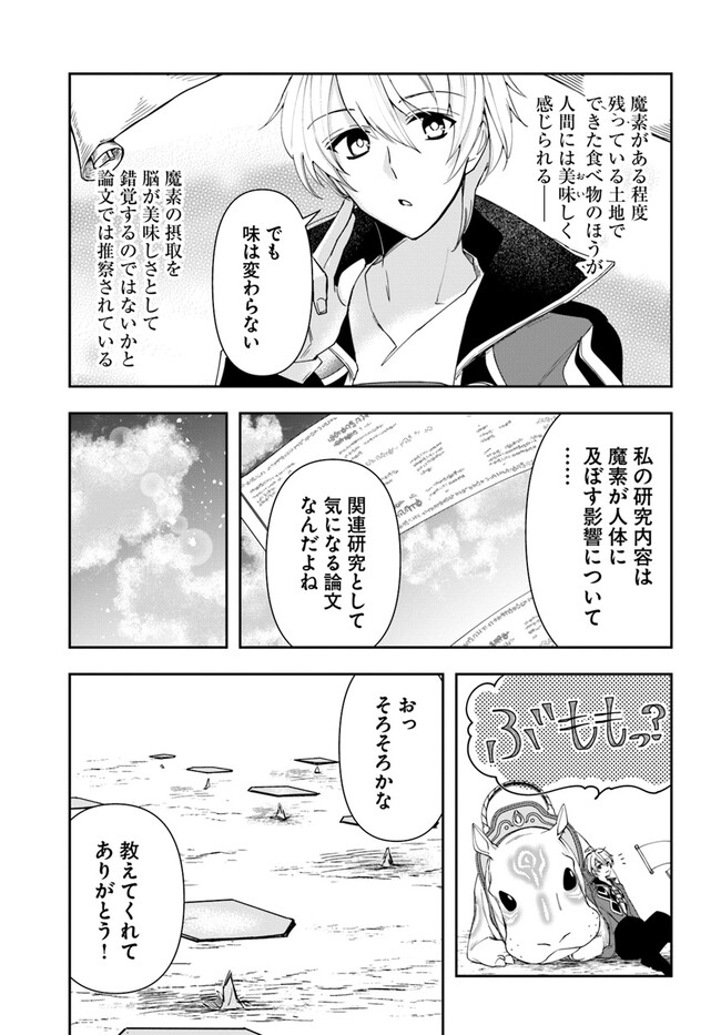 辺境の錬金術師　～今更予算ゼロの職場に戻るとかもう無理～ 第17話 - Page 17