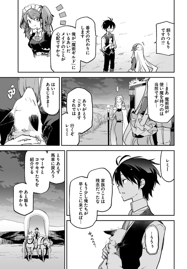 Henkyou Gurashi No Maou, Tensei Shite Saikyou No Majutsushi Ni Naru (manga) 第17話 - Page 5