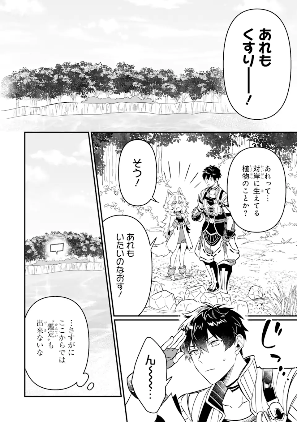 変な竜と元勇者パーティー雑用係、新大陸でのんびりスローライフ 第8話 - Page 14