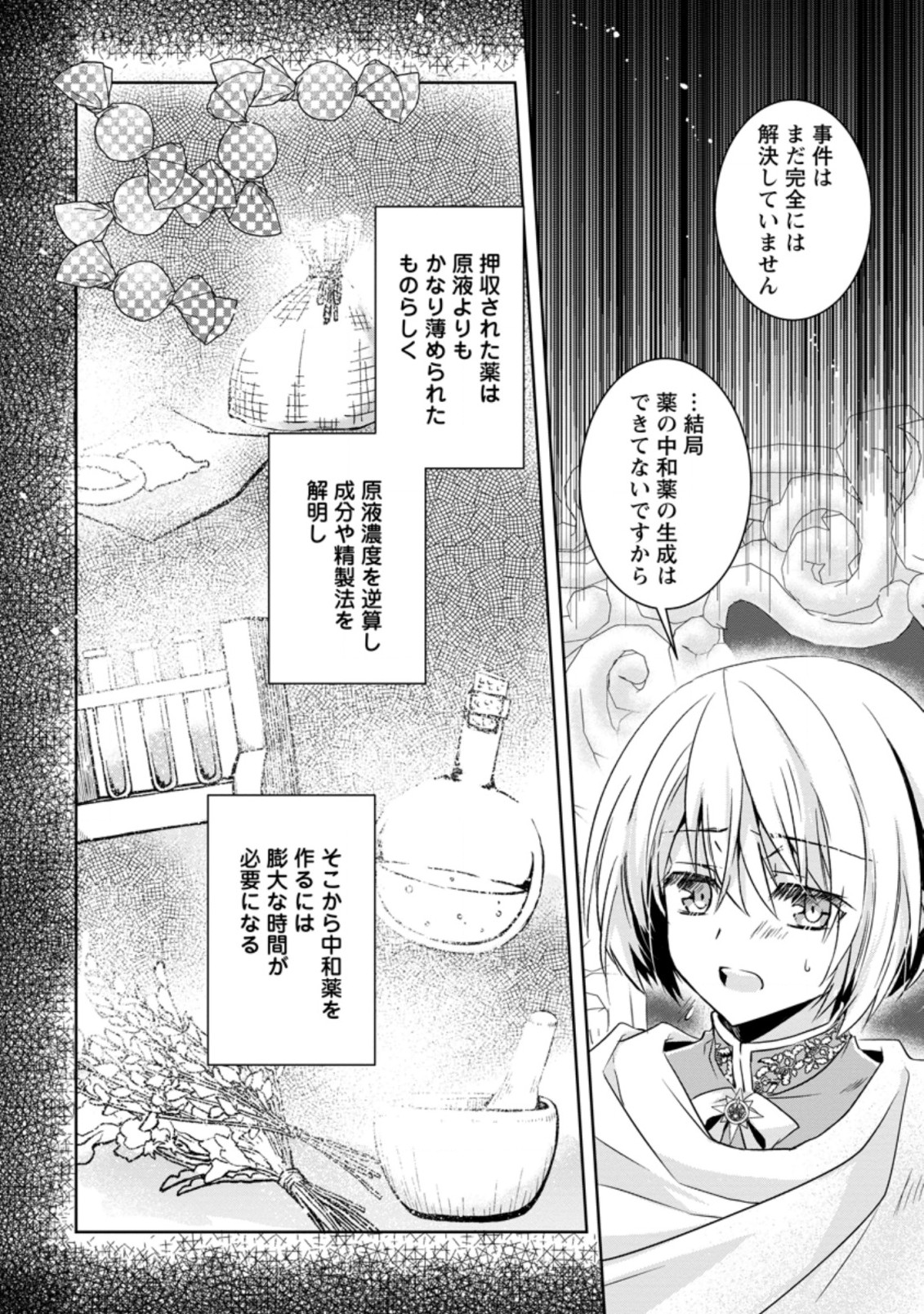 ハーシェリクR転生王子の英雄譚 第9.2話 - Page 8