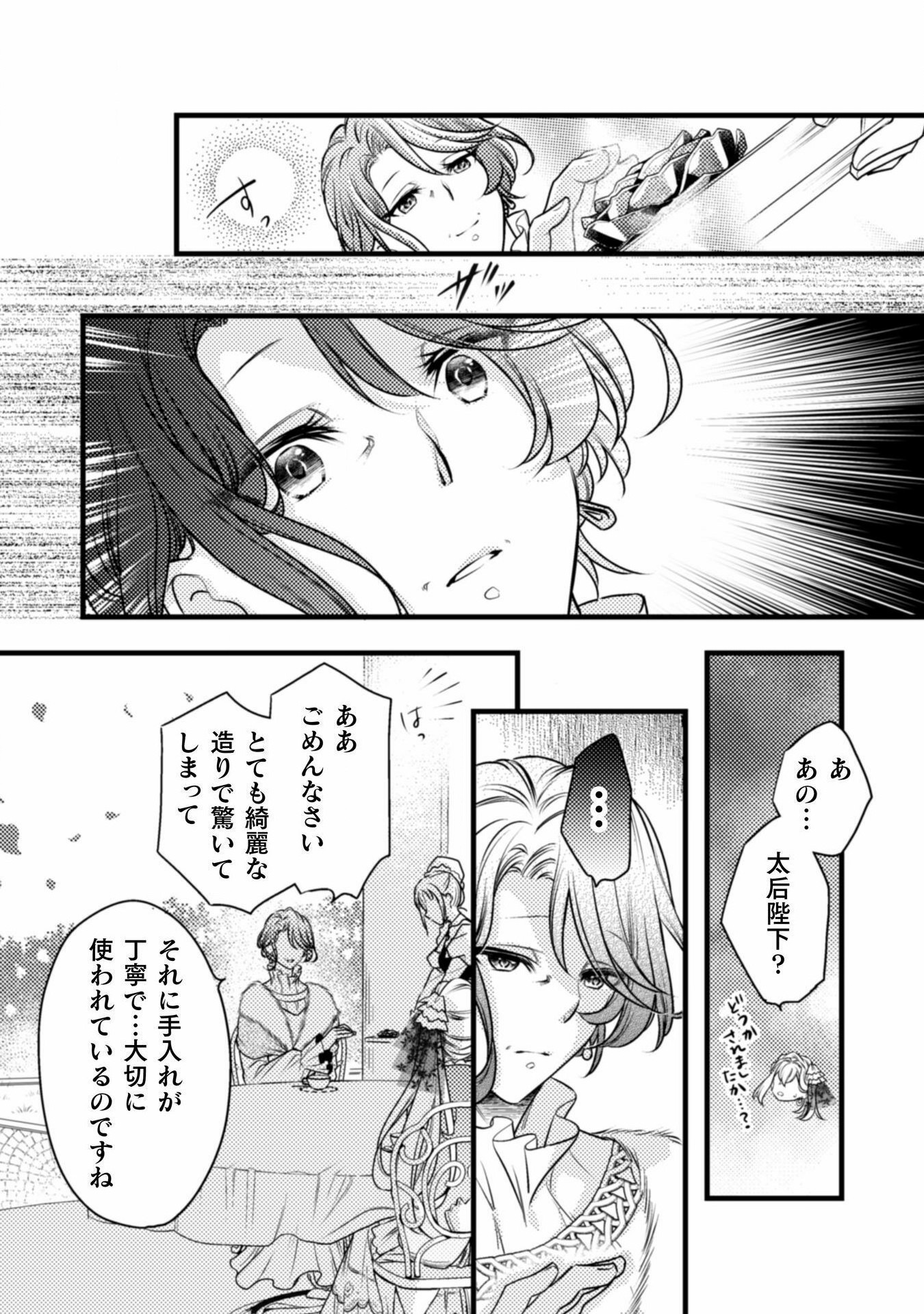 妃殿下の微笑～身代わり花嫁は、引きこもり殿下と幸せに暮らしたい～ 第4話 - Page 27