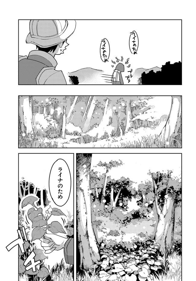 引き籠り錬金術師は引き籠れない ～お家でのんびりしたい奮闘記～ 第1話 - Page 36