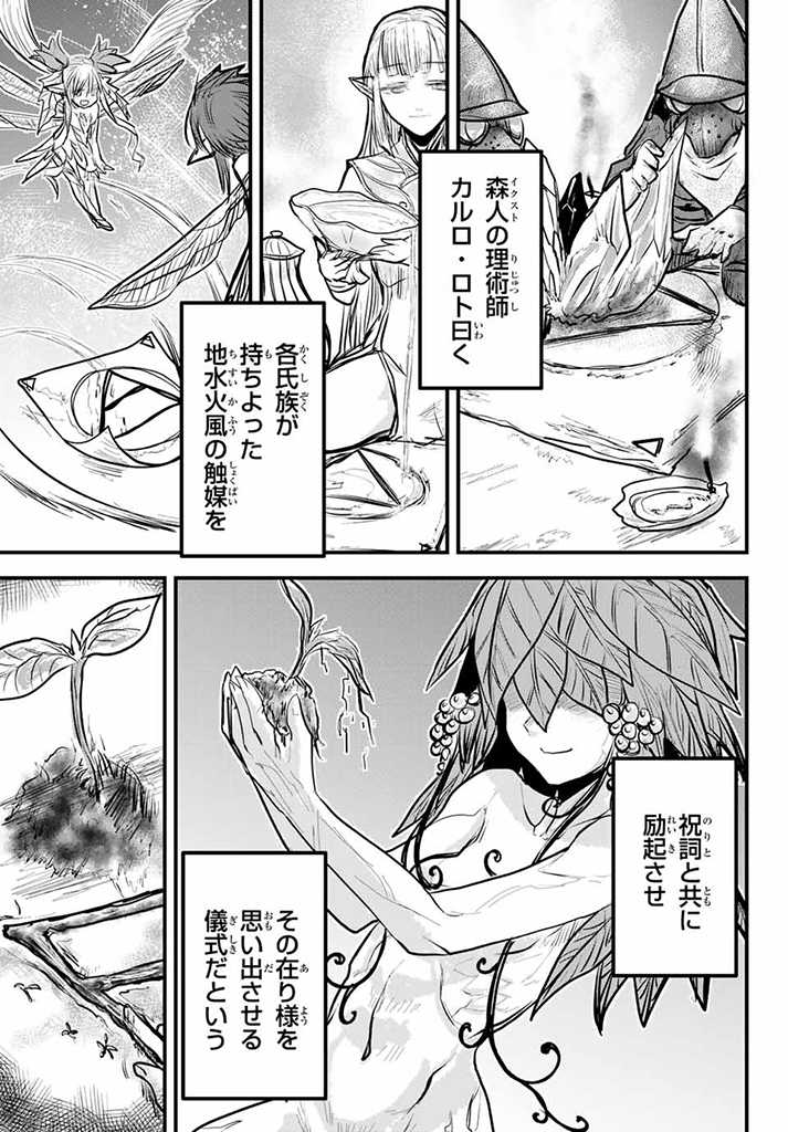姫騎士は蛮族の嫁 第13.5話 - Page 5