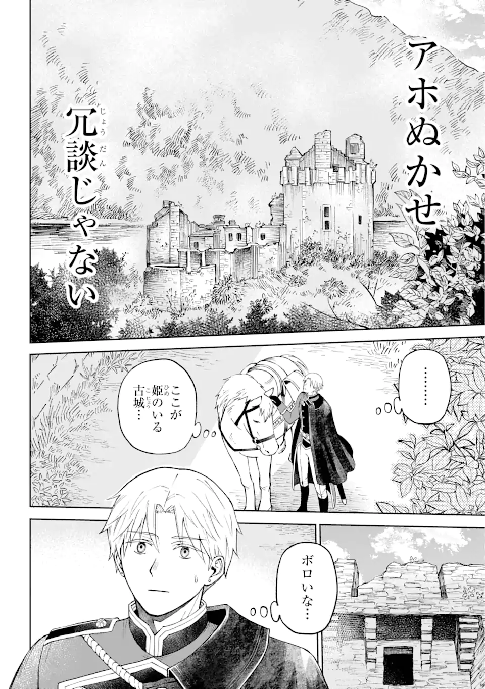 ひねくれ騎士とふわふわ姫様 古城暮らしと小さなおうち 第1.1話 - Page 10