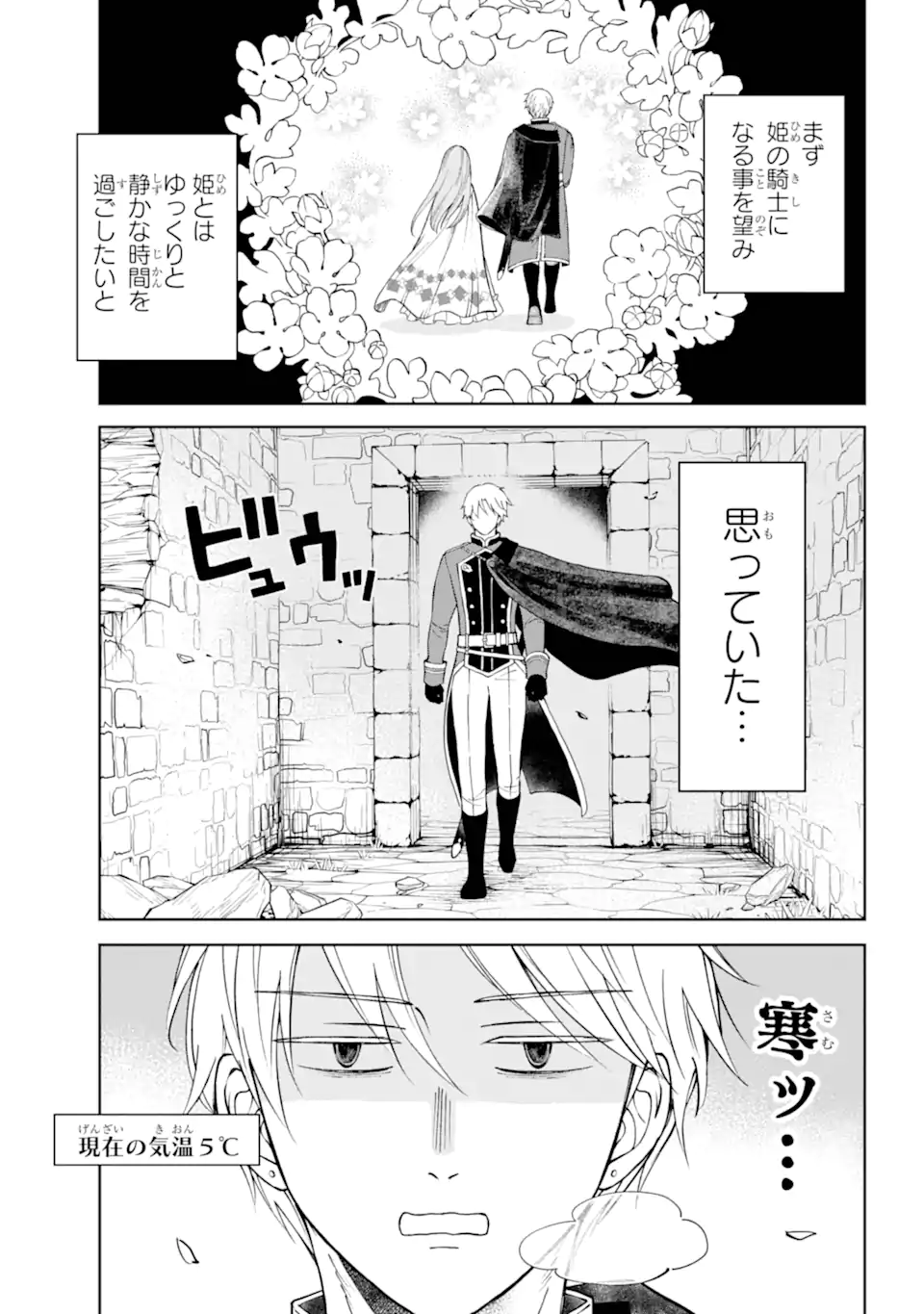 ひねくれ騎士とふわふわ姫様 古城暮らしと小さなおうち 第2.1話 - Page 6