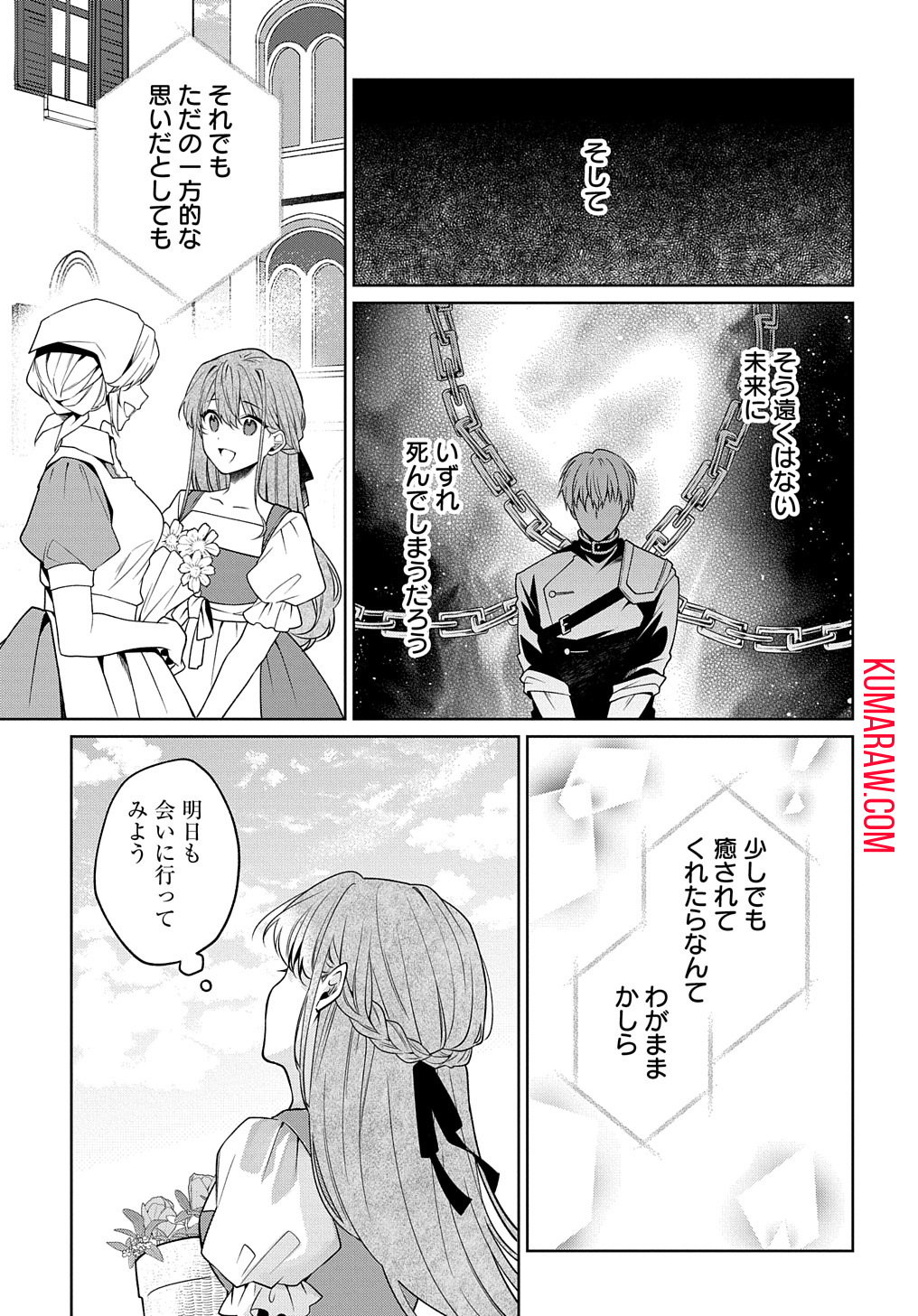 ひとりぼっちの花娘は檻の中の竜騎士に恋願うTHECOMIC 第1.1話 - Page 40