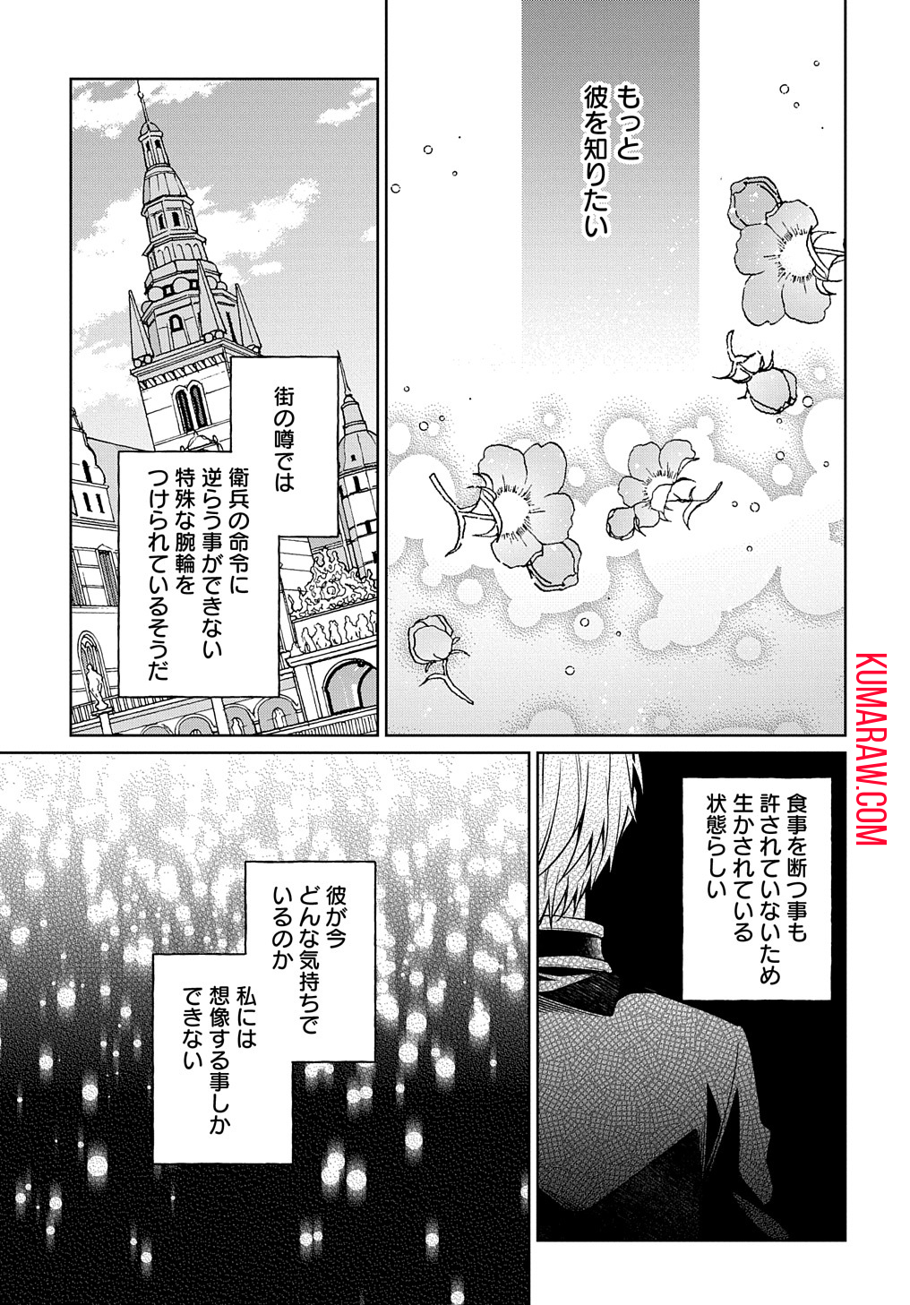 ひとりぼっちの花娘は檻の中の竜騎士に恋願うTHECOMIC 第1.1話 - Page 48