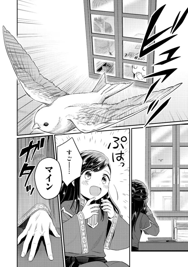 本好きの下剋上 第二部 本のためなら巫女になる！ 第33.2話 - Page 11