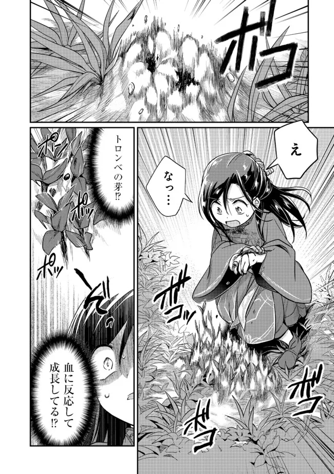 本好きの下剋上 第二部 本のためなら巫女になる！ 第35.2話 - Page 9