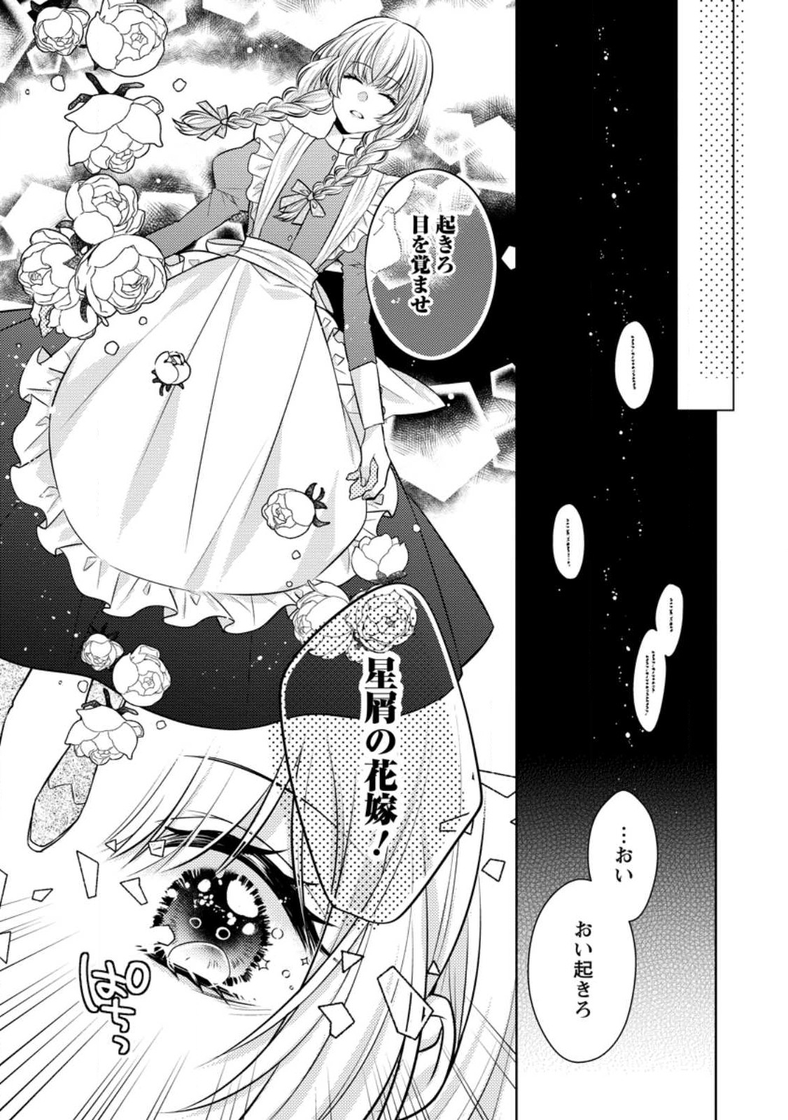 星屑の花嫁は運命の恋から逃げ出したい～王子様と強制結婚なんて無理！～ 第1話 - Page 36