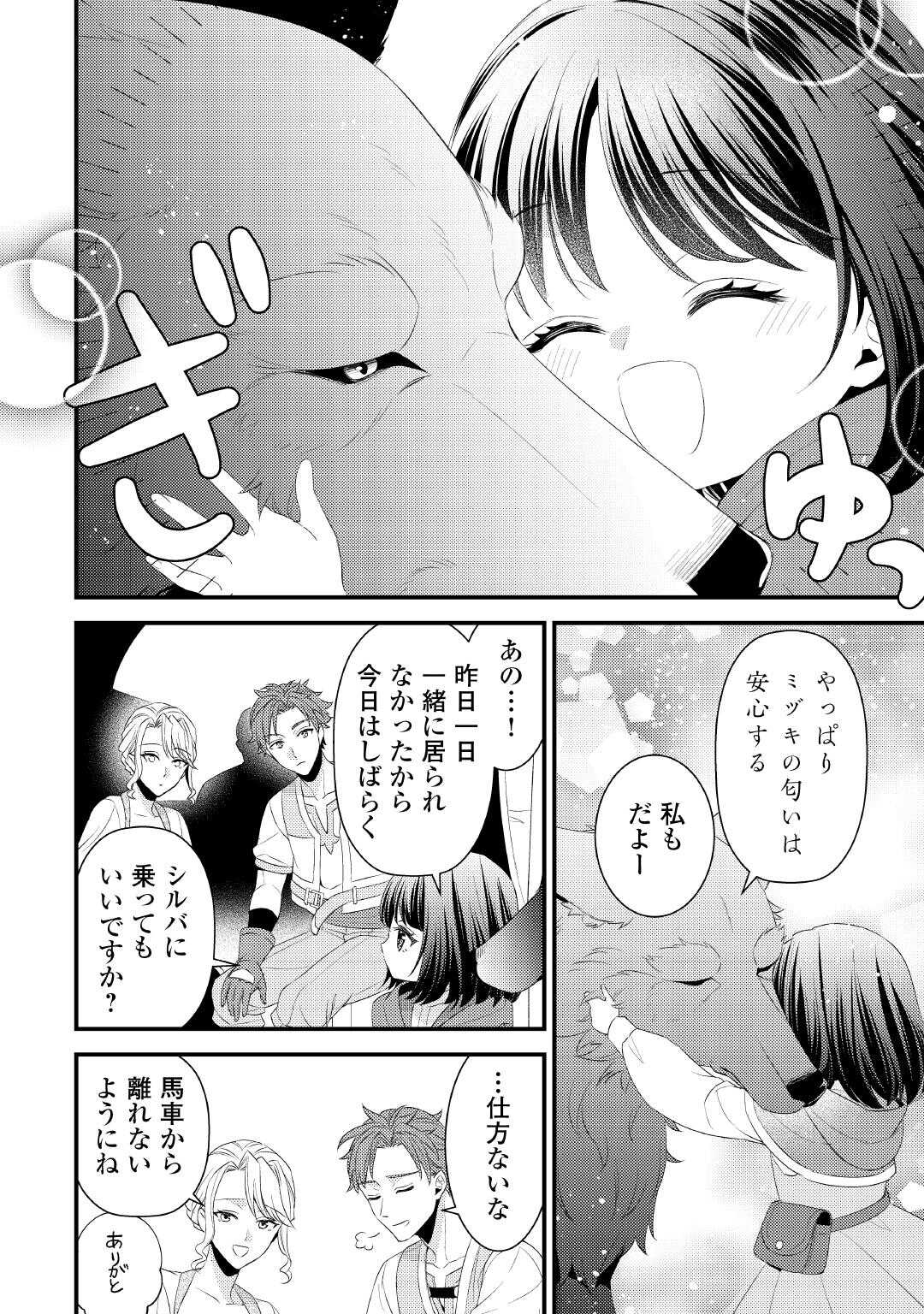 ほっといて下さい　―従魔とチートライフ楽しみたい！― 第29.5話 - Page 12