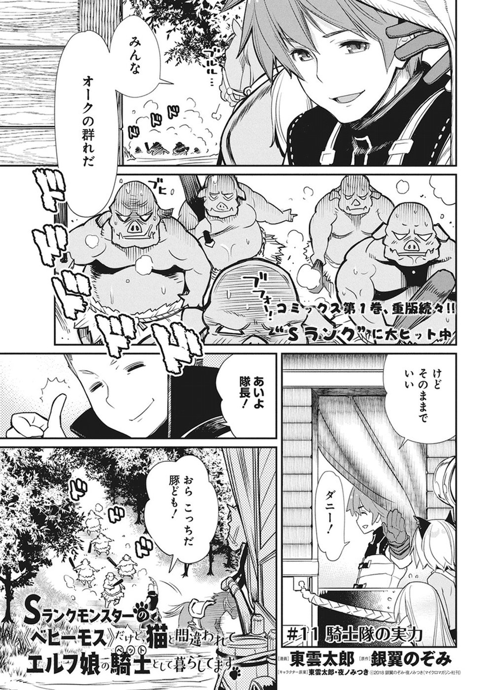 Sランクモンスターの《ベヒーモス》だけどネコと間違われてエルフ娘の騎士として暮らしています 第11話 - Page 1