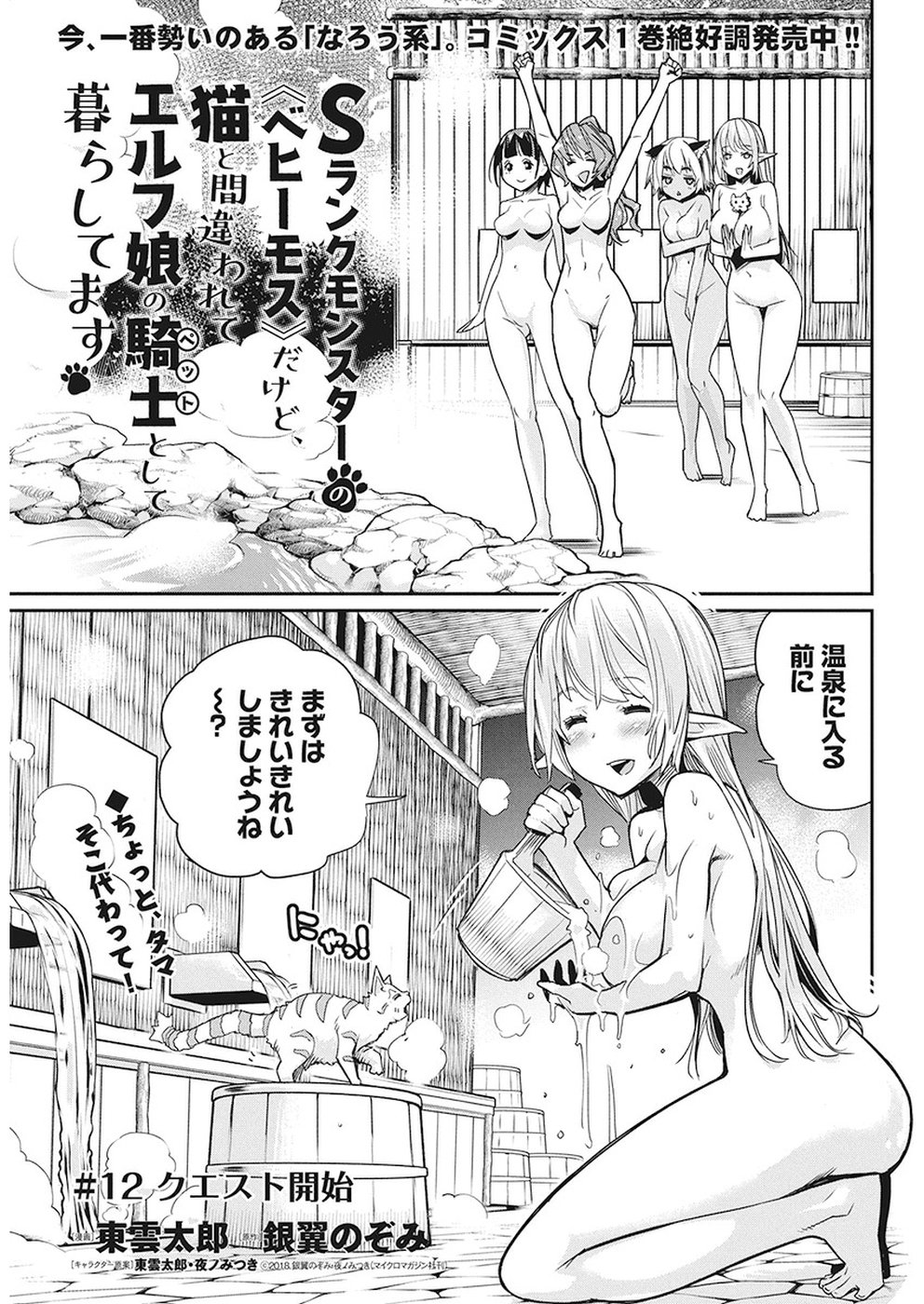 Sランクモンスターの《ベヒーモス》だけどネコと間違われてエルフ娘の騎士として暮らしています 第12話 - Page 1