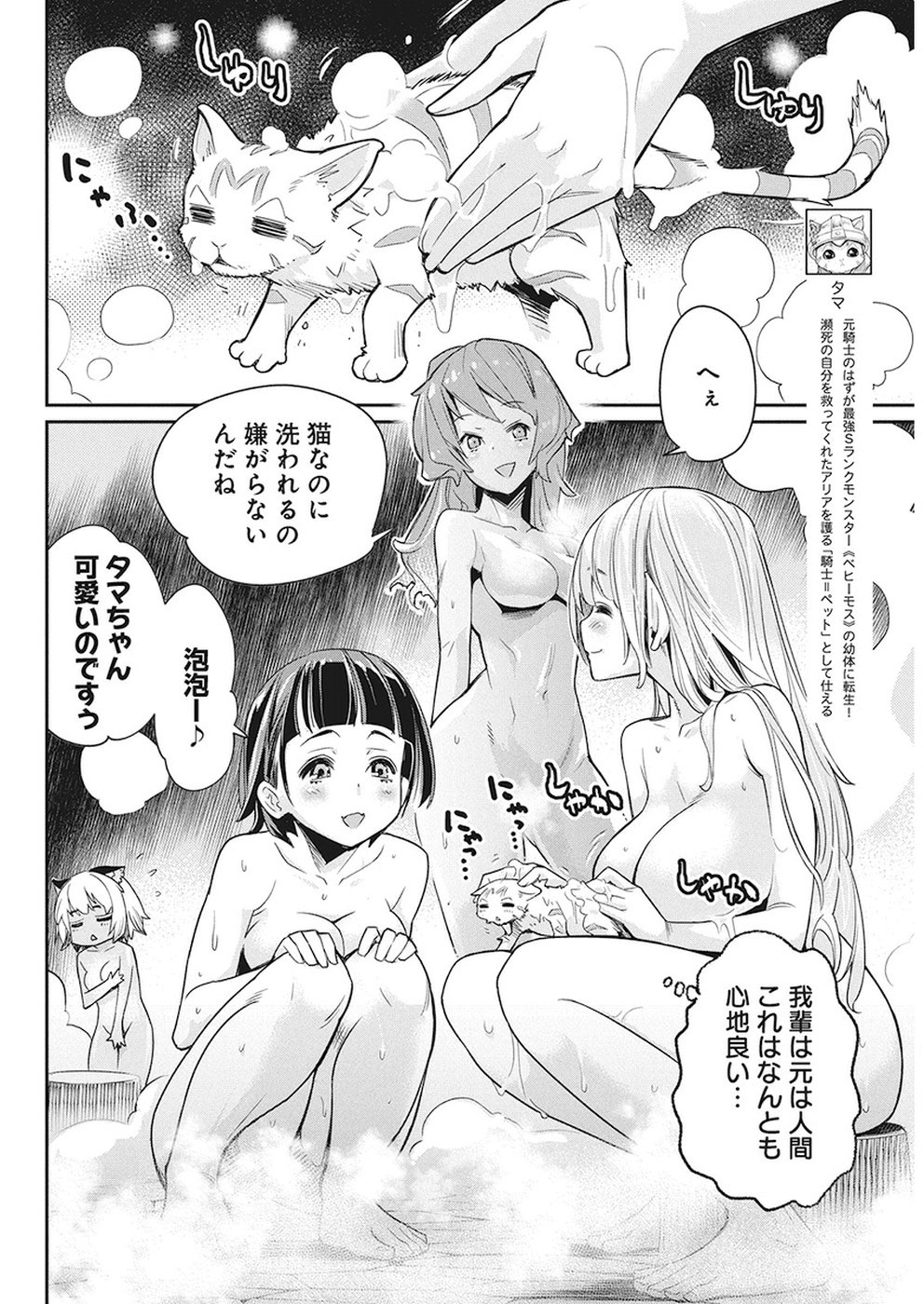 Sランクモンスターの《ベヒーモス》だけどネコと間違われてエルフ娘の騎士として暮らしています 第12話 - Page 2