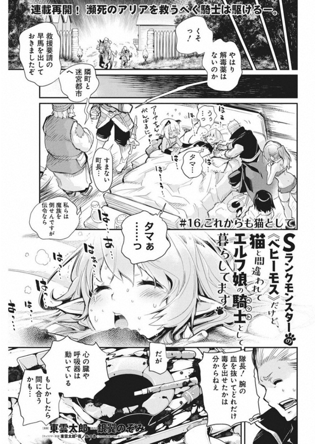 Sランクモンスターの《ベヒーモス》だけどネコと間違われてエルフ娘の騎士として暮らしています 第16話 - Page 2