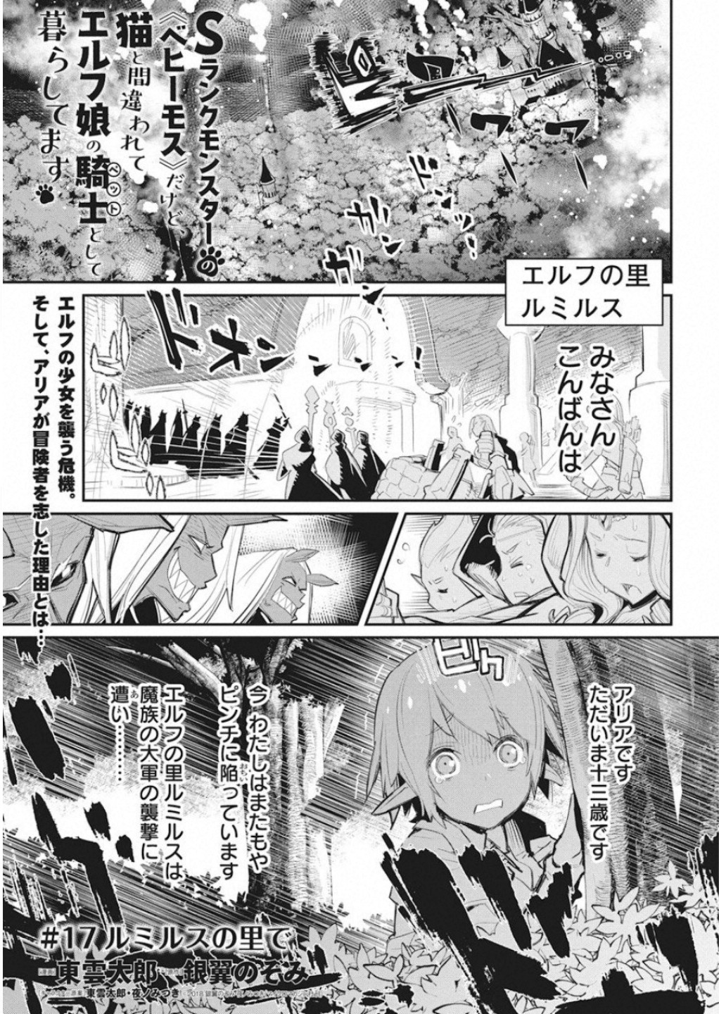 Sランクモンスターの《ベヒーモス》だけどネコと間違われてエルフ娘の騎士として暮らしています 第17話 - Page 2