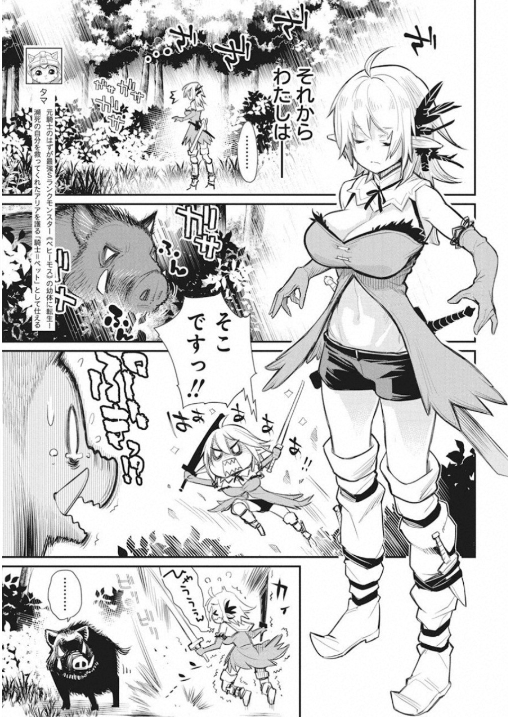 Sランクモンスターの《ベヒーモス》だけどネコと間違われてエルフ娘の騎士として暮らしています 第17話 - Page 7