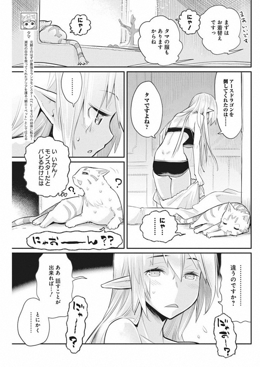 Sランクモンスターの《ベヒーモス》だけどネコと間違われてエルフ娘の騎士として暮らしています 第18話 - Page 3