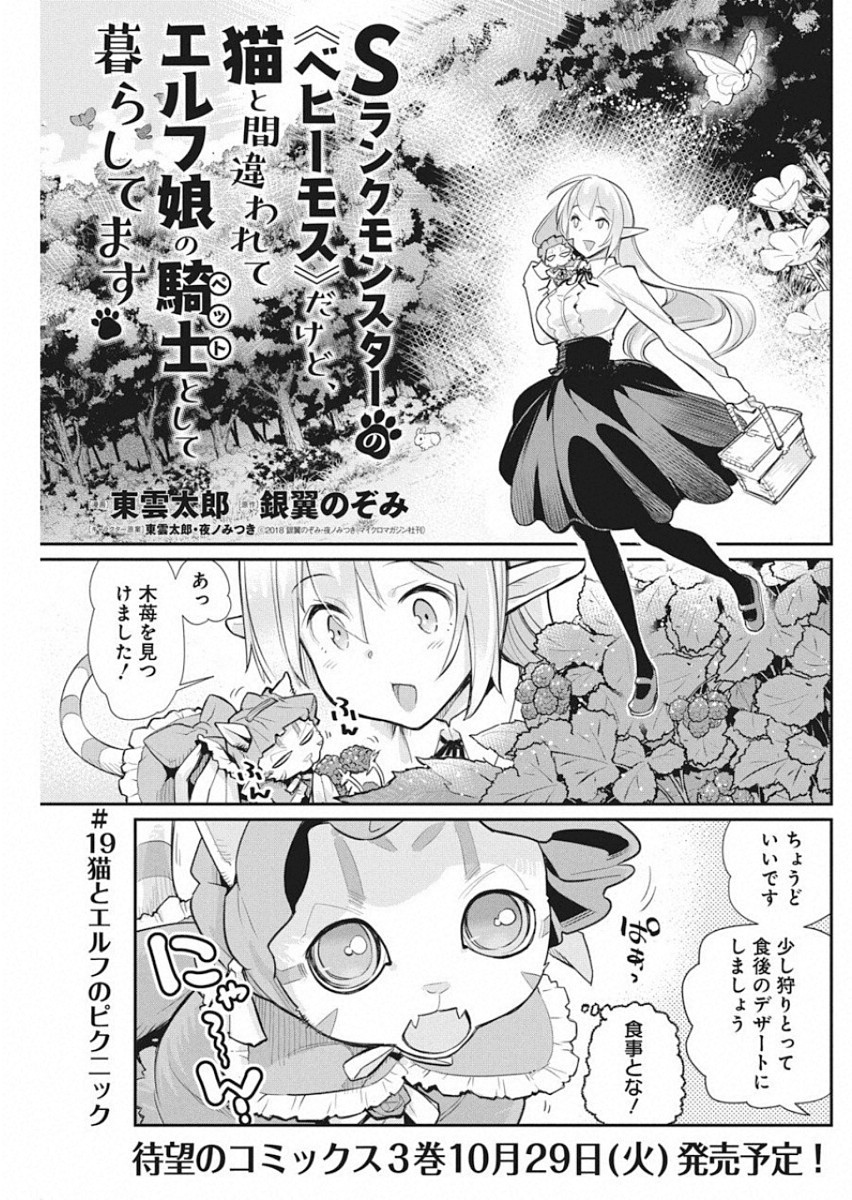 Sランクモンスターの《ベヒーモス》だけどネコと間違われてエルフ娘の騎士として暮らしています 第19話 - Page 1