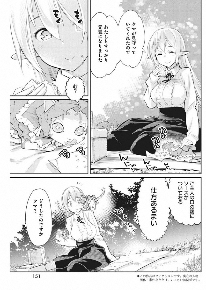 Sランクモンスターの《ベヒーモス》だけどネコと間違われてエルフ娘の騎士として暮らしています 第19話 - Page 3