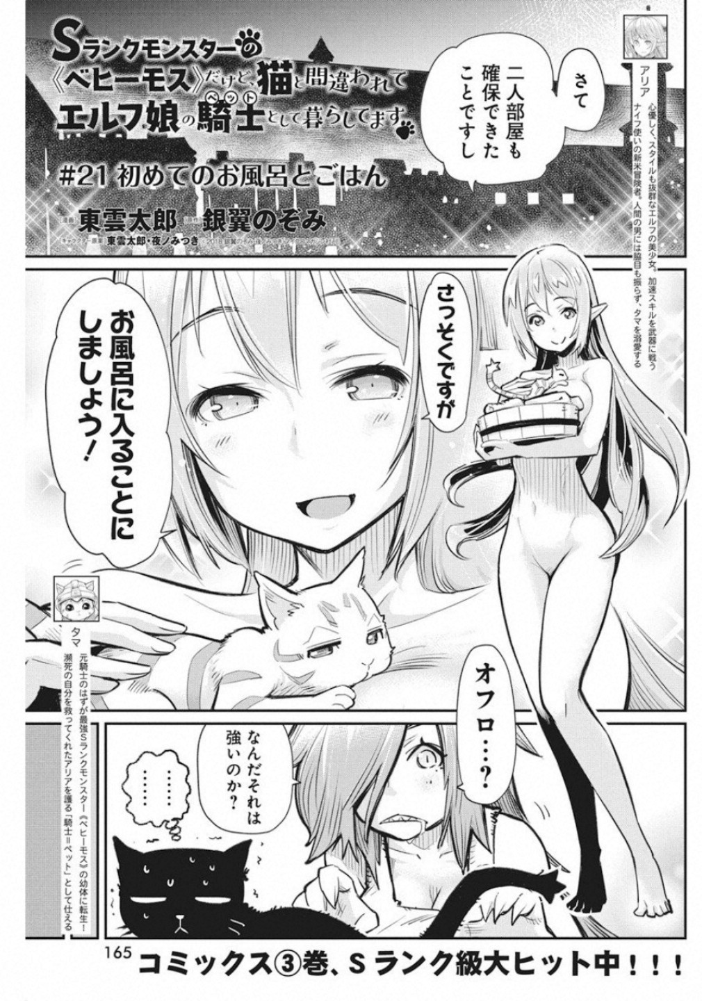 Sランクモンスターの《ベヒーモス》だけどネコと間違われてエルフ娘の騎士として暮らしています 第21話 - Page 1