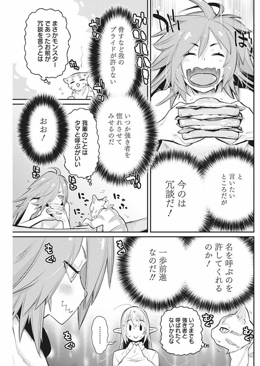 Sランクモンスターの《ベヒーモス》だけどネコと間違われてエルフ娘の騎士として暮らしています 第22話 - Page 17