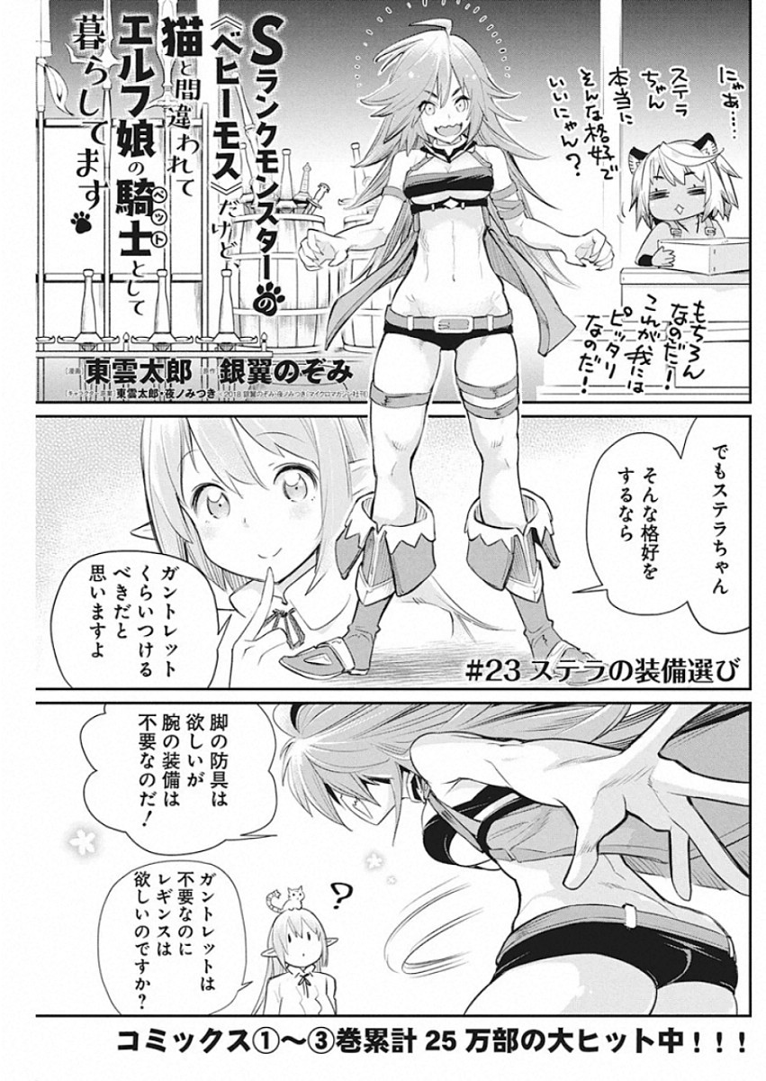 Sランクモンスターの《ベヒーモス》だけどネコと間違われてエルフ娘の騎士として暮らしています 第23話 - Page 1