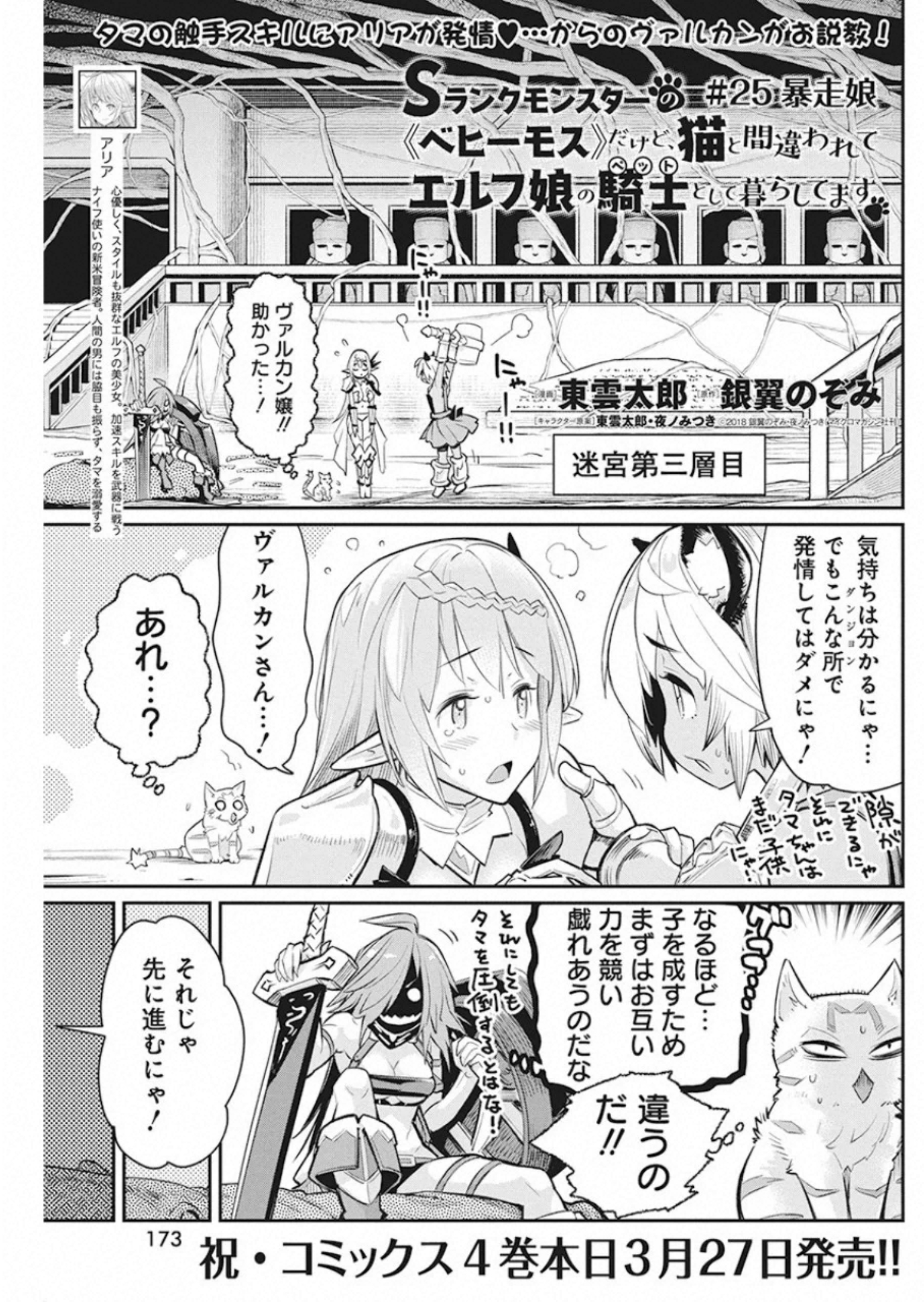 Sランクモンスターの《ベヒーモス》だけどネコと間違われてエルフ娘の騎士として暮らしています 第25話 - Page 1